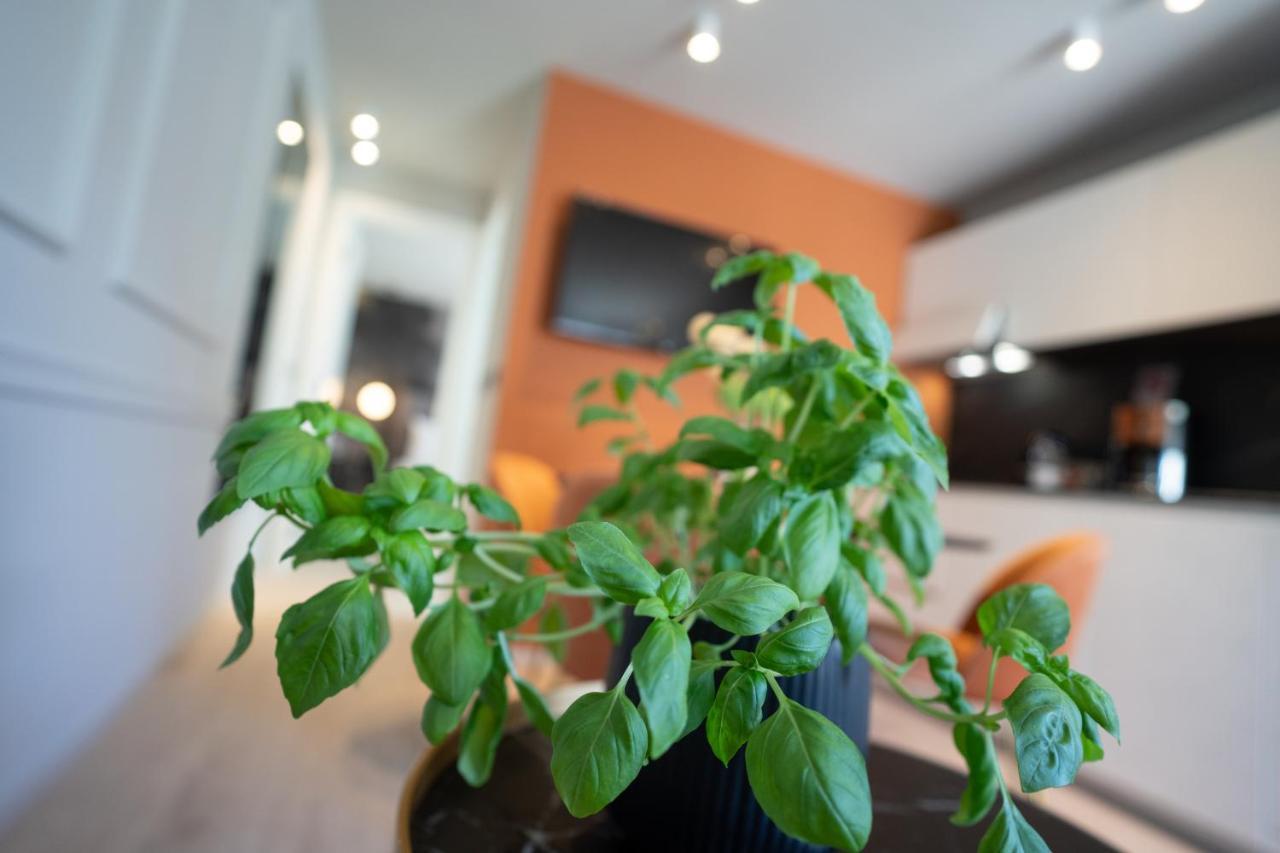Prestige Studio Apartment Rovinj Bagian luar foto